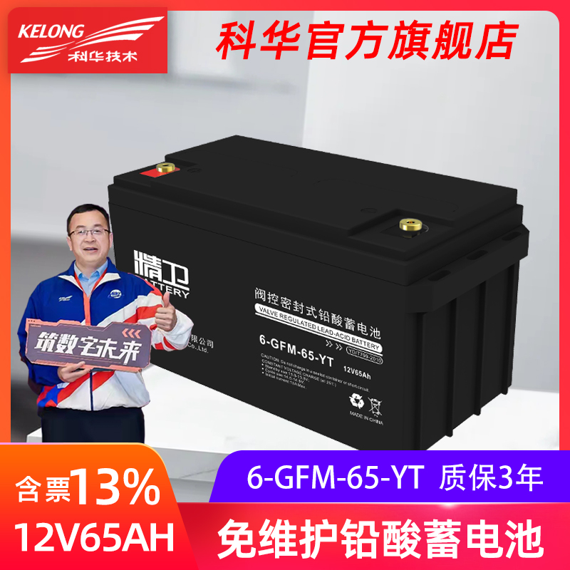 科华免维护铅酸蓄电池12V65AH蓄电池